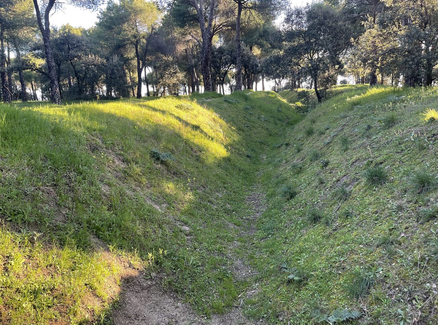 Fotografía de Las Rozas de Madrid, en la Sierra de Madrid. Servicio local de reparación y limpieza de tejados y canalones — reparaciondetejados.madrid, con numerosas urbanizaciones y comunidades de vecinos.