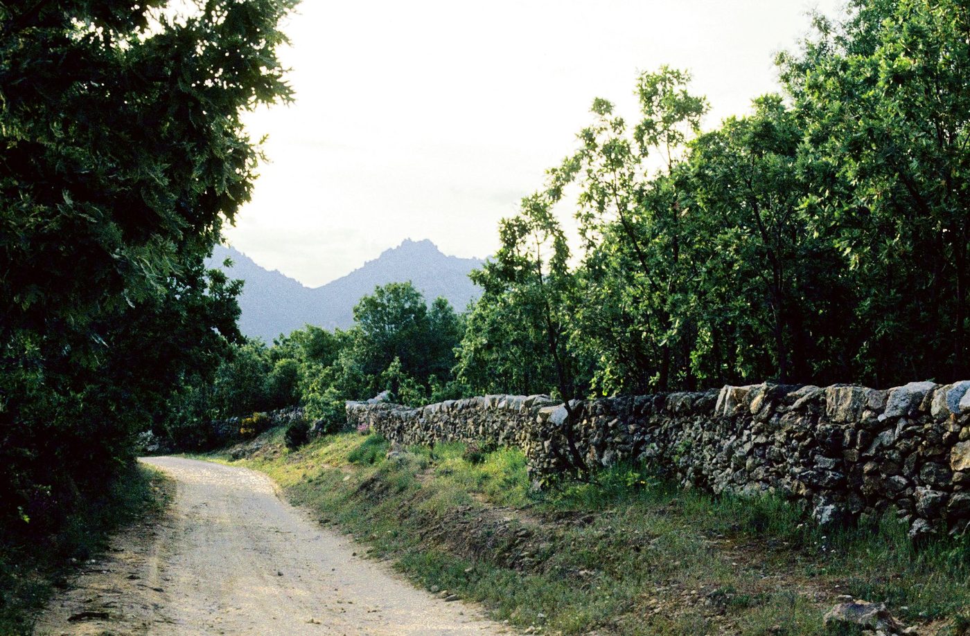 Vista de Miraflores de la Sierra, en la Sierra de Madrid — zona de servicio de reparaciondetejados.madrid, especialistas en reparación de tejados y canalones, zona de sierra alta, con protección de tejados frente a nieve y hielo.