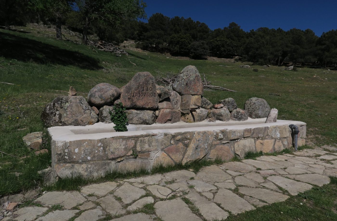 Fotografía de Moralzarzal, en la Sierra de Madrid. Servicio local de reparación y limpieza de tejados y canalones — reparaciondetejados.madrid, zona de pinar, donde es habitual la limpieza de canalones obstruidos por hojas y acículas.